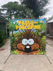 Pablo The Porcupine Frame Game